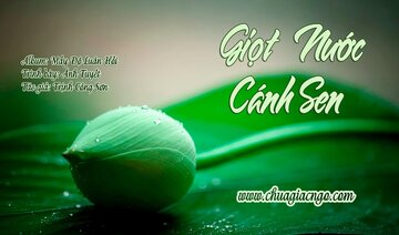 Giọt nước cánh sen - Ánh Tuyết