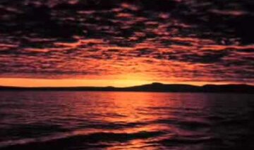 Đánh mất giấc mơ _ Đan Trường