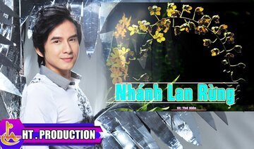 NHÁNH LAN RỪNG (THẾ HIỂN) | ĐAN TRƯỜNG - ALBUM ĐÊM THÀNH PHỐ ĐẦY SAO