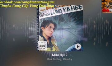 Mưa Bụi 2 - Đan Trường & Cẩm Ly