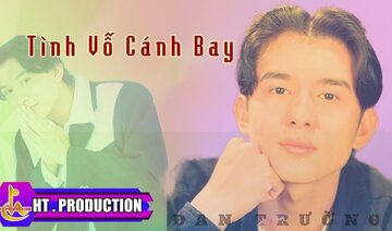 TÌNH VỖ CÁNH BAY || ĐAN TRƯỜNG